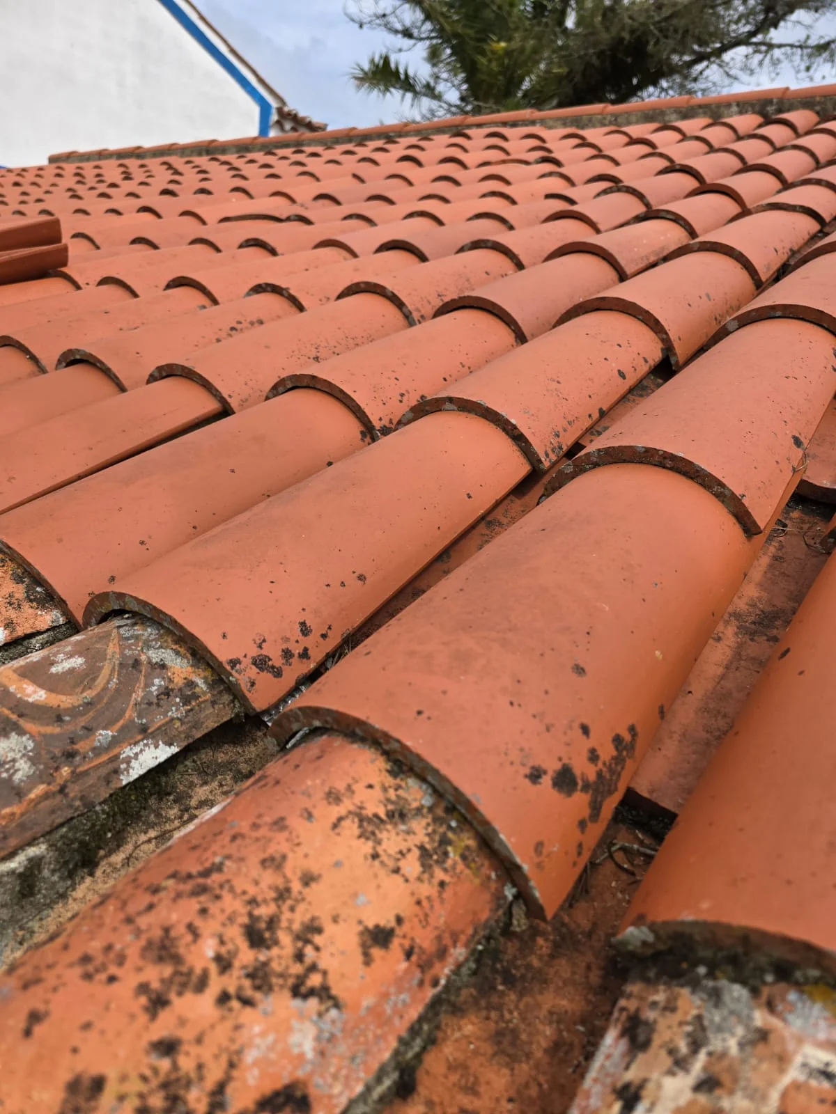 Limpeza de Algerozes e Caleiras em Oeiras | Serviço Profissional Locatelli