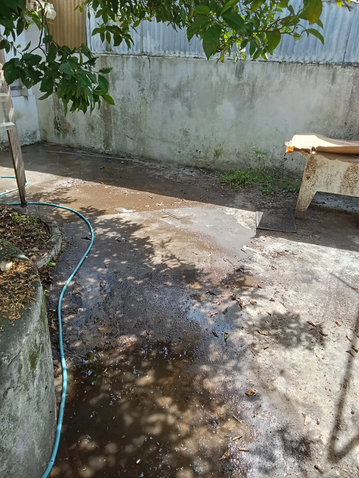 Serviço Profissional de Limpeza de Terrenos