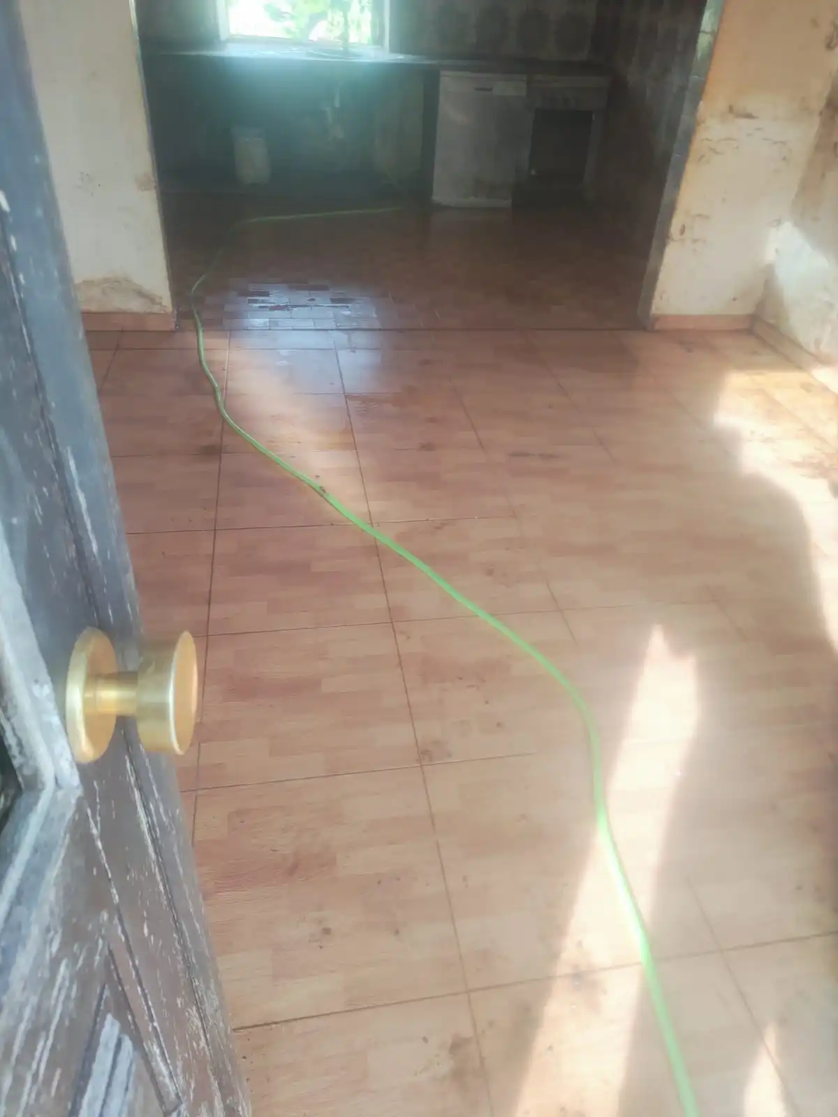 Mesmo espaço após limpeza profunda: sofá e móveis da sala visíveis e desimpedidos, tapete limpo com padrão original restaurado, cozinha integrada com bancadas desinfetadas e brilhantes, chão uniforme sem marcas e janelas transparentes deixando entrar luz natural.