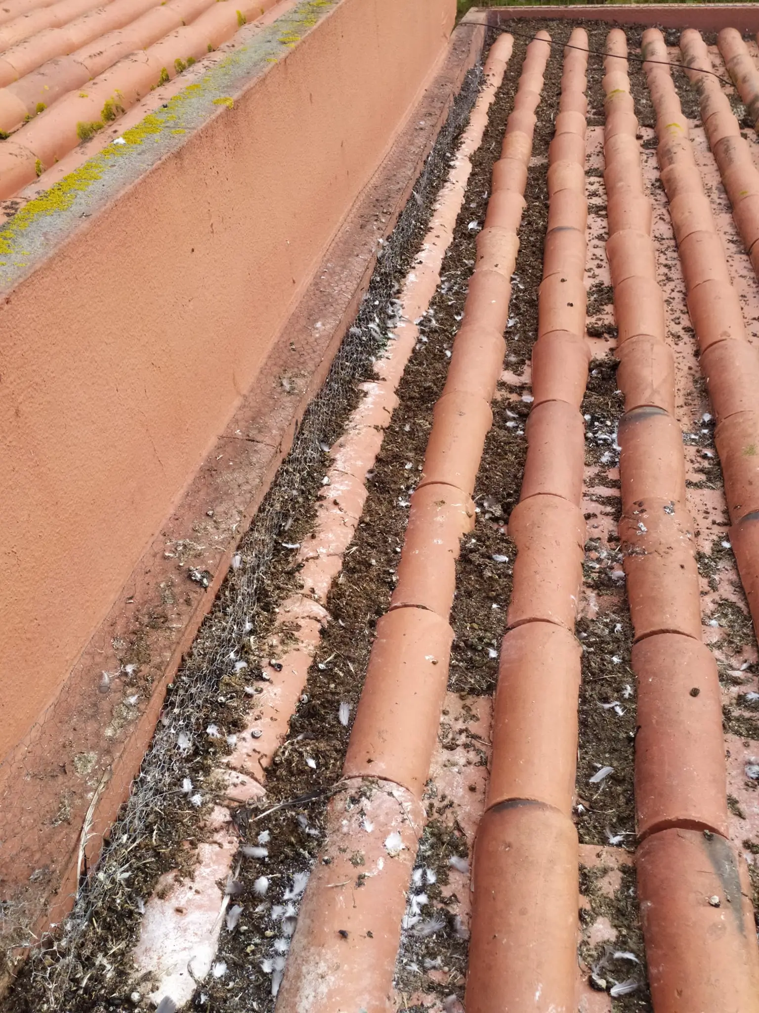 Limpeza de algerozes em Almada por técnico profissional